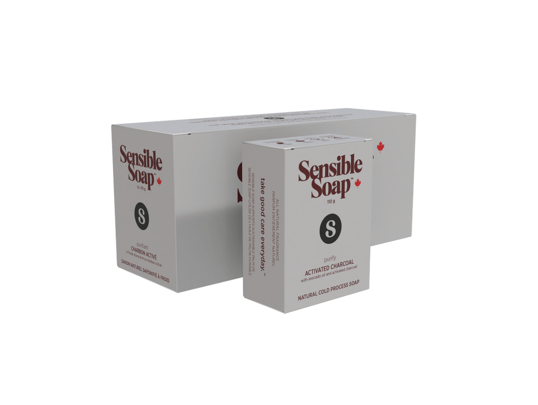 Activated Charcoal Six Bar Case - Sensible Co.