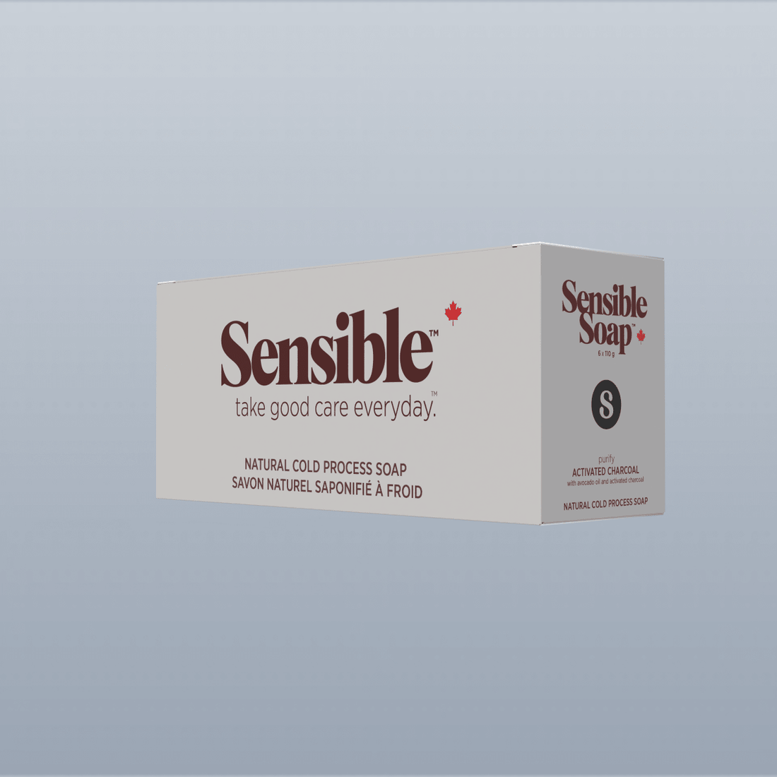 Activated Charcoal Six Bar Case - Sensible Co.