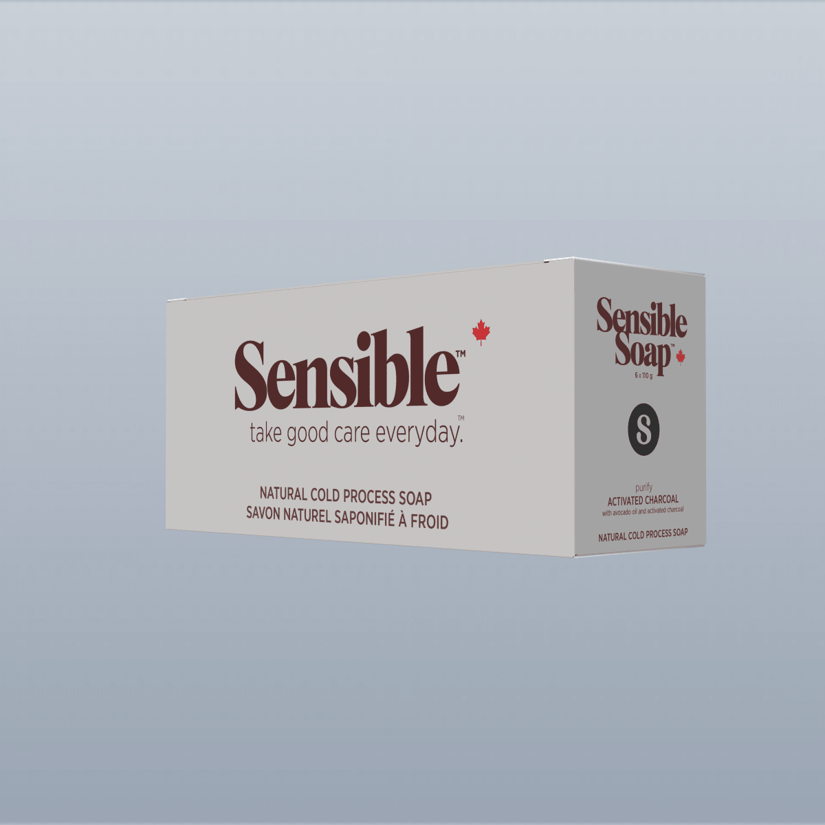 Activated Charcoal Six Bar Case - Sensible Co.
