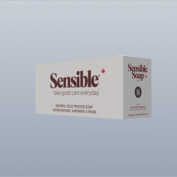 Activated Charcoal Six Bar Case - Sensible Co.